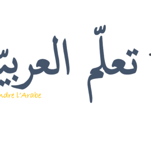 Niveau 1 (activités interactives)